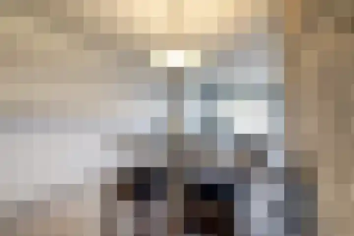 Heemskerklaan 59 Velp thumbnail 22