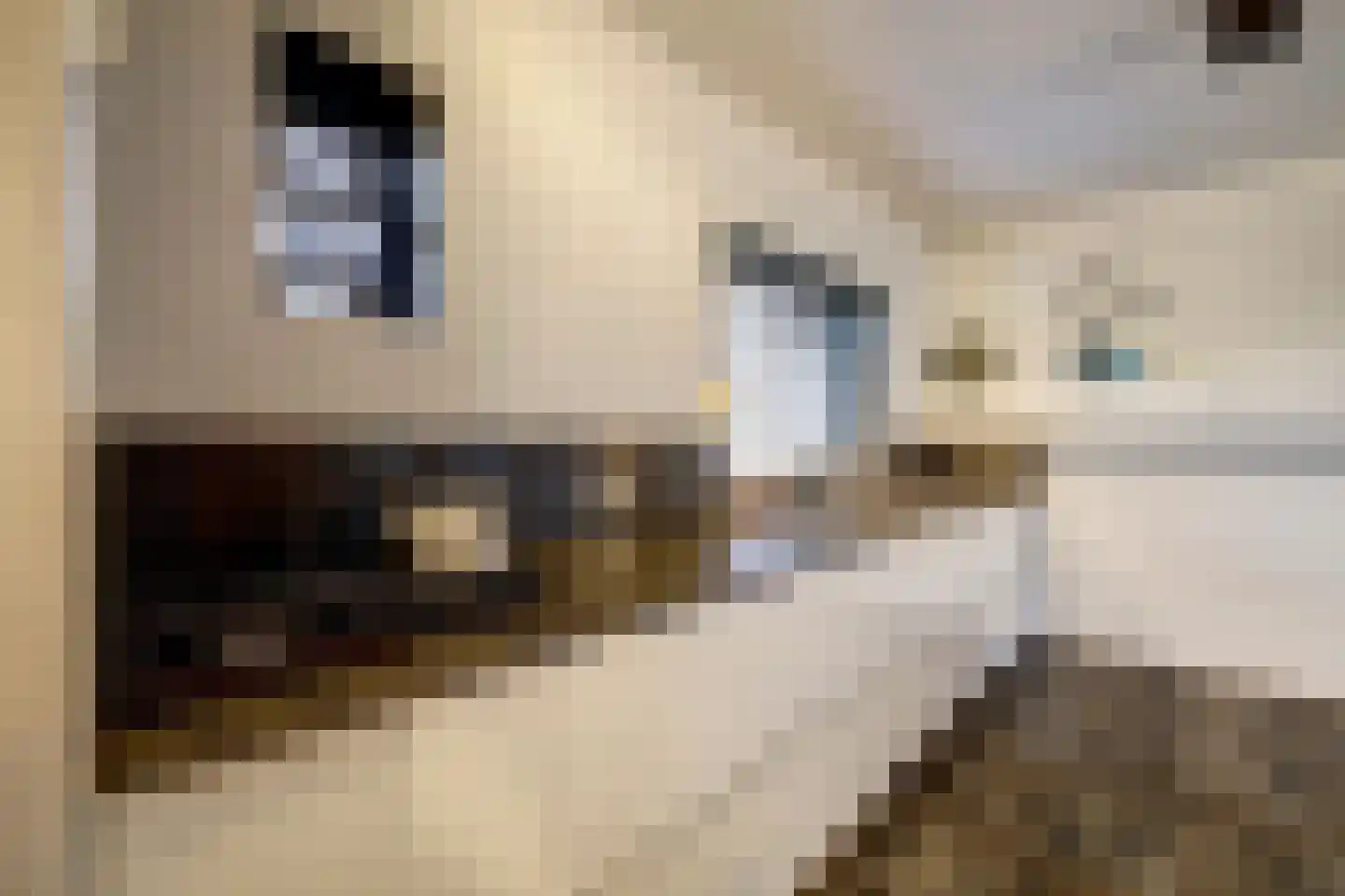 Heemskerklaan 59 Velp thumbnail 24
