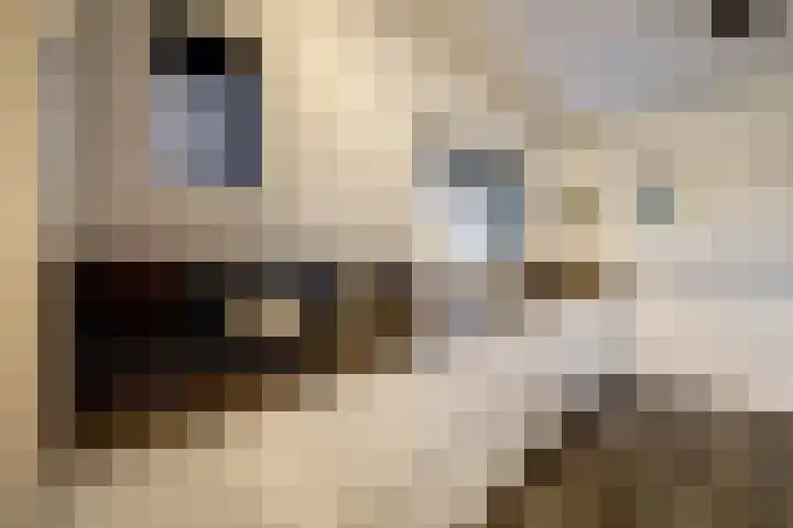 Heemskerklaan 59 Velp thumbnail 24
