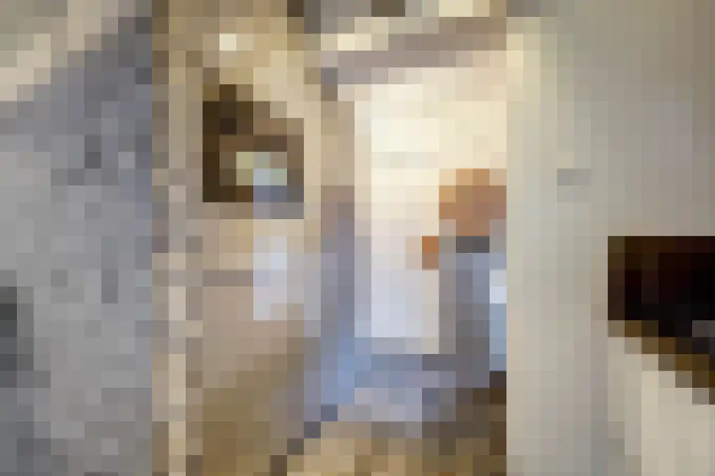 Heemskerklaan 59 Velp thumbnail 25