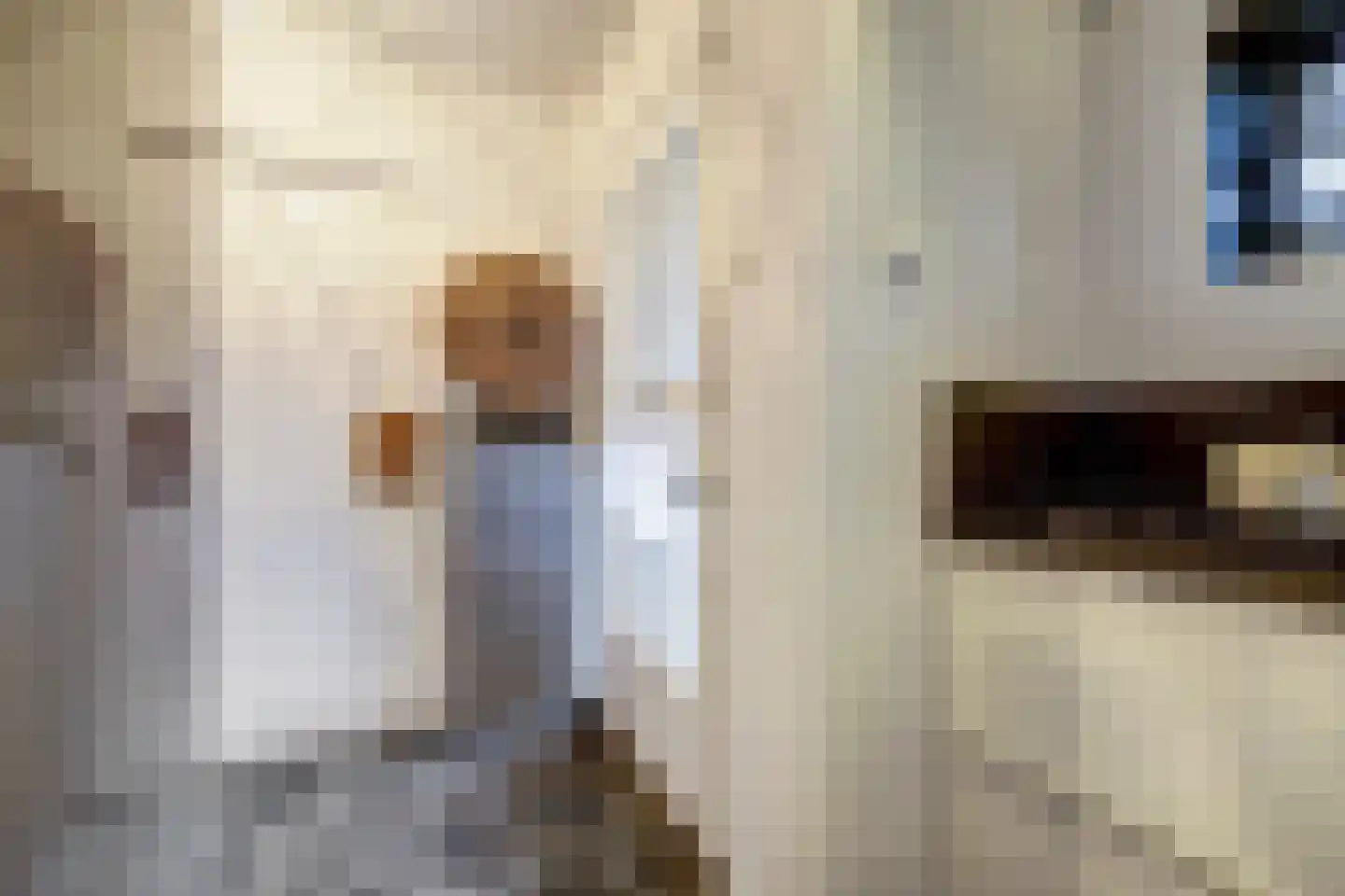 Heemskerklaan 59 Velp thumbnail 26