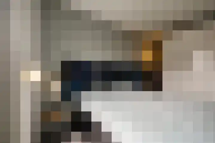 Heemskerklaan 59 Velp thumbnail 27