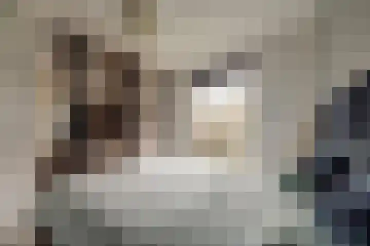 Heemskerklaan 59 Velp thumbnail 28