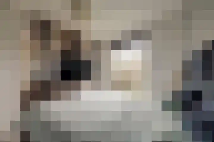 Heemskerklaan 59 Velp thumbnail 29