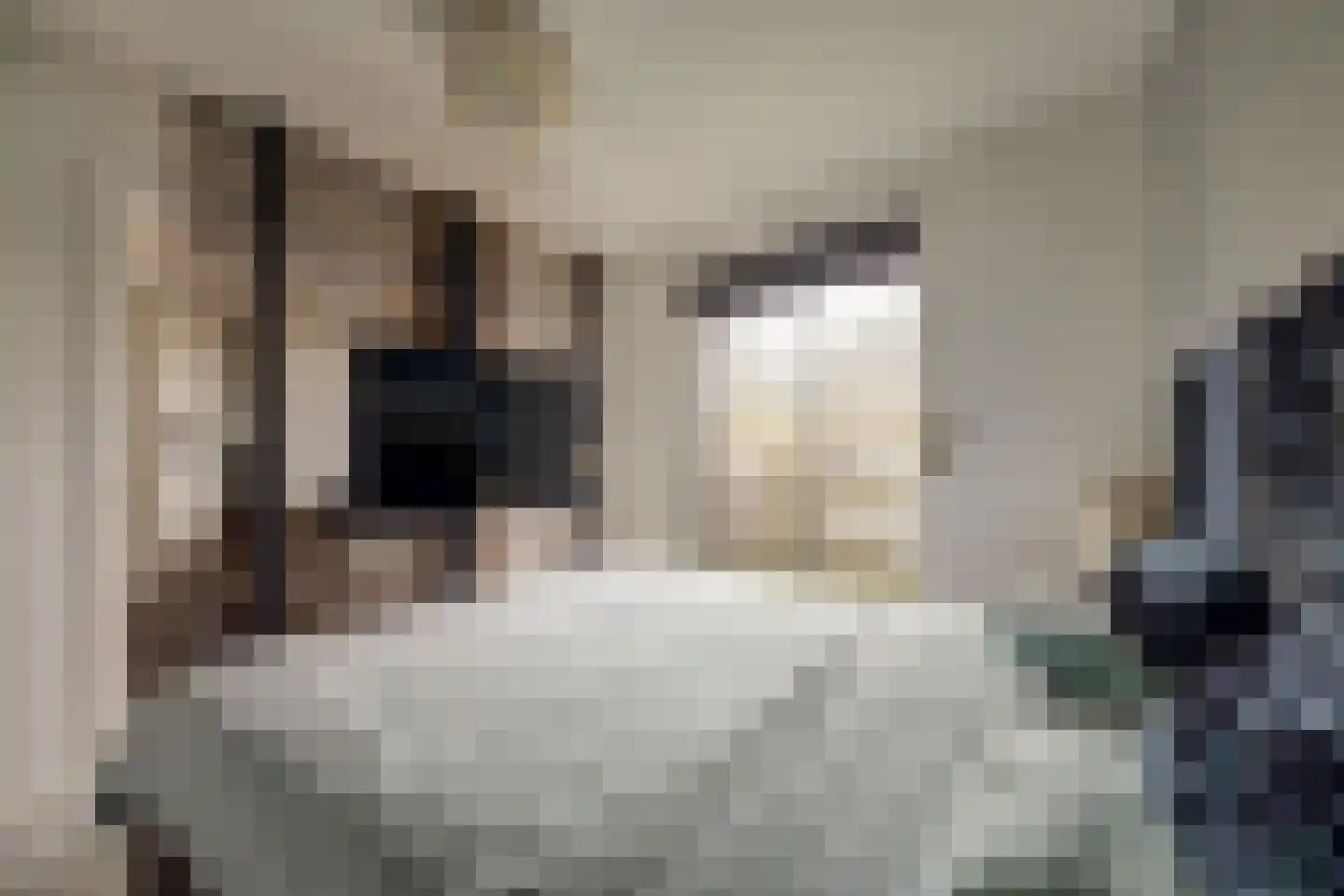 Heemskerklaan 59 Velp thumbnail 29