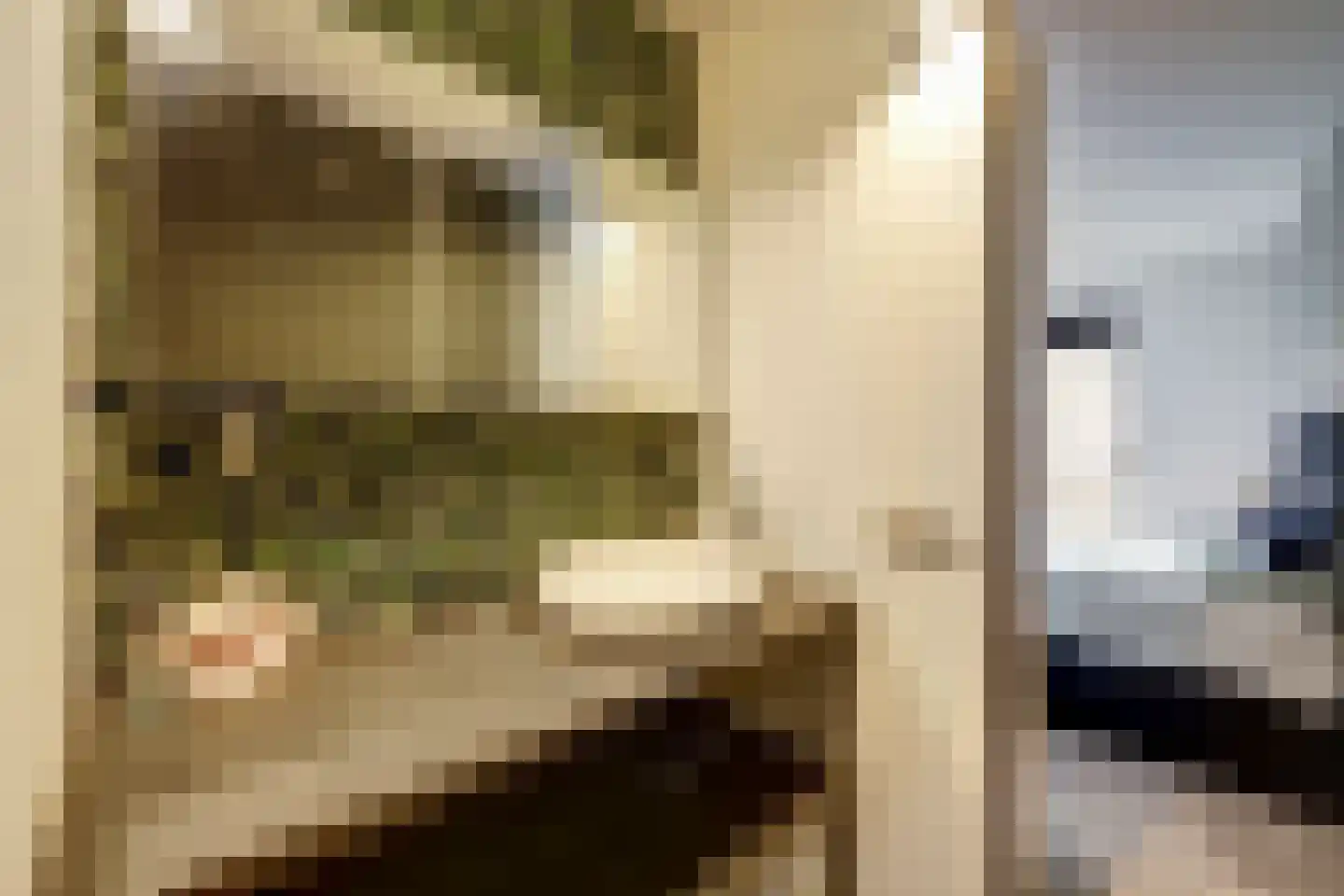 Heemskerklaan 59 Velp thumbnail 31