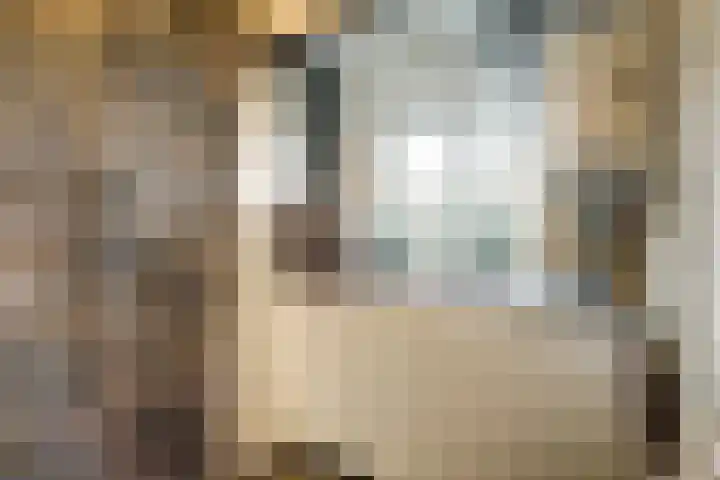 Heemskerklaan 59 Velp thumbnail 33