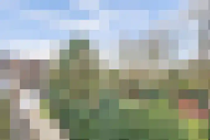 Heemskerklaan 59 Velp thumbnail 35