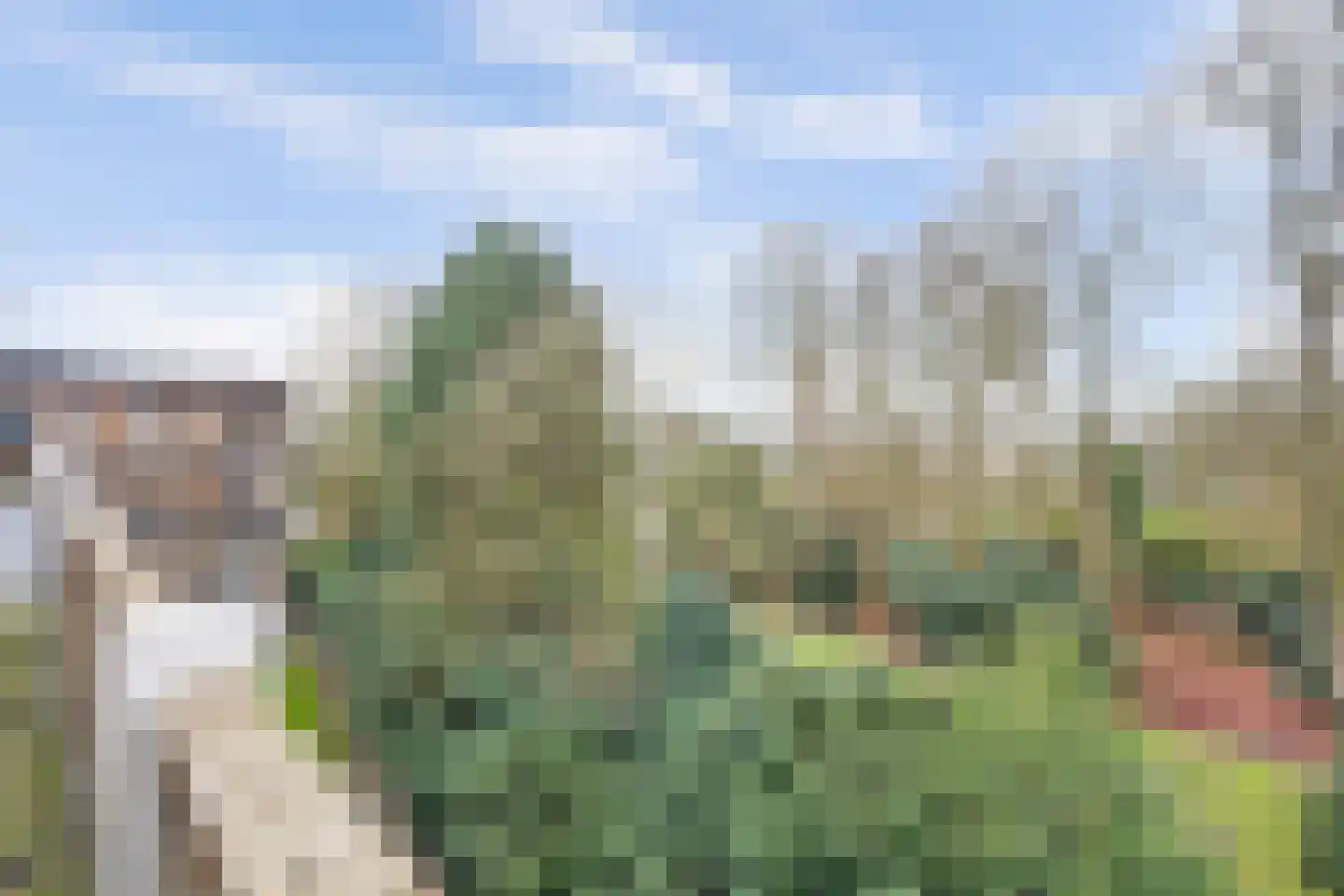 Heemskerklaan 59 Velp thumbnail 35