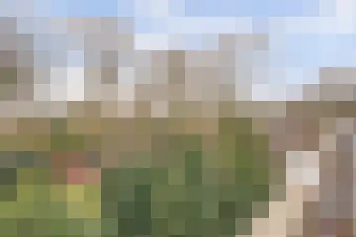 Heemskerklaan 59 Velp thumbnail 36