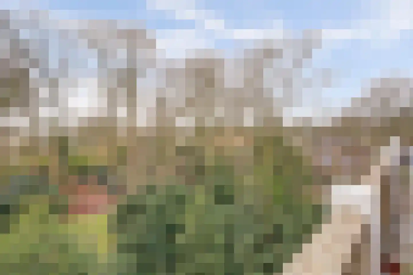 Heemskerklaan 59 Velp thumbnail 36