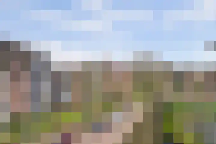 Heemskerklaan 59 Velp thumbnail 39