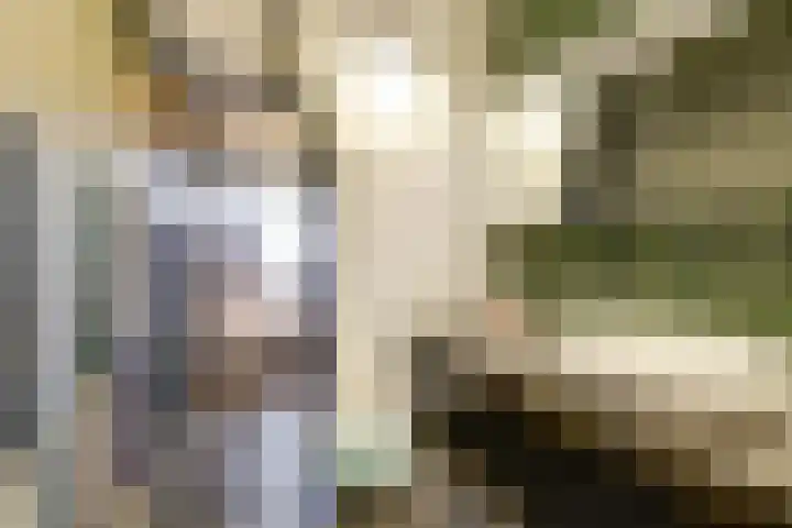 Heemskerklaan 59 Velp thumbnail 4