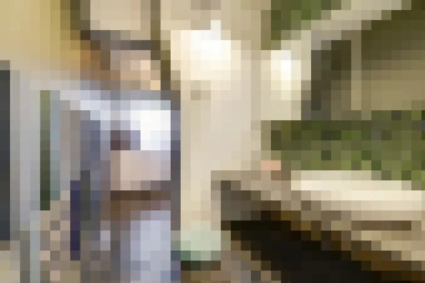 Heemskerklaan 59 Velp thumbnail 4
