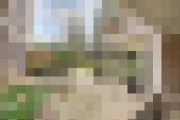 Heemskerklaan 59 Velp thumbnail 40
