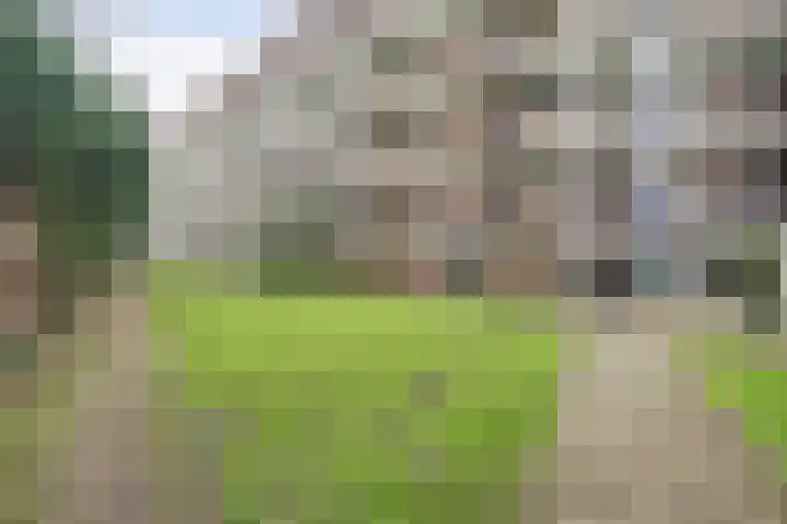 Heemskerklaan 59 Velp thumbnail 41
