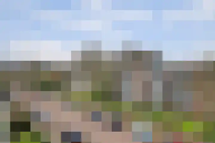 Heemskerklaan 59 Velp thumbnail 5