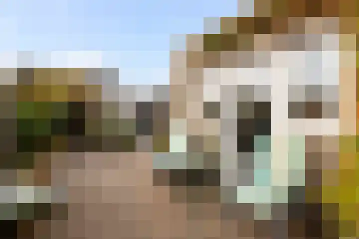 Heemskerklaan 7 Woerden thumbnail 20