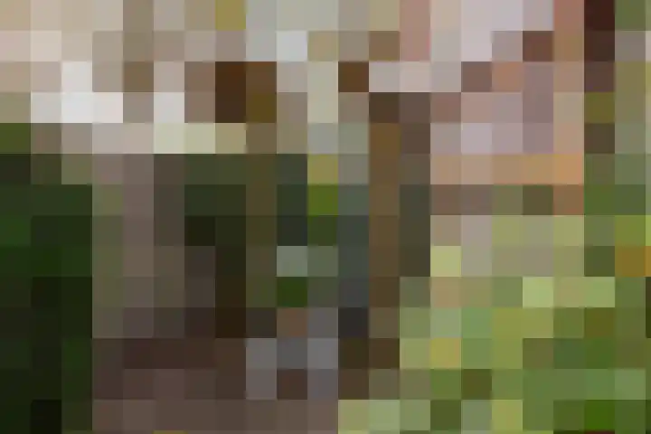 Heemskerklaan 7 Woerden thumbnail 22