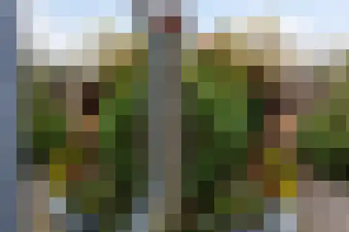 Heemskerklaan 7 Woerden thumbnail 23