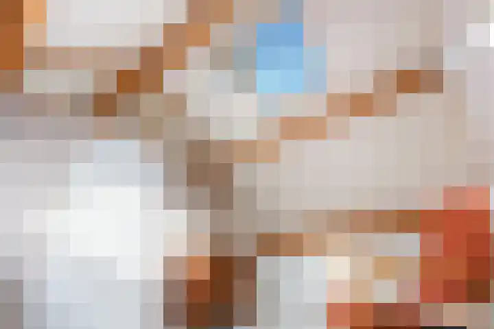 Heemskerklaan 7 Woerden thumbnail 37
