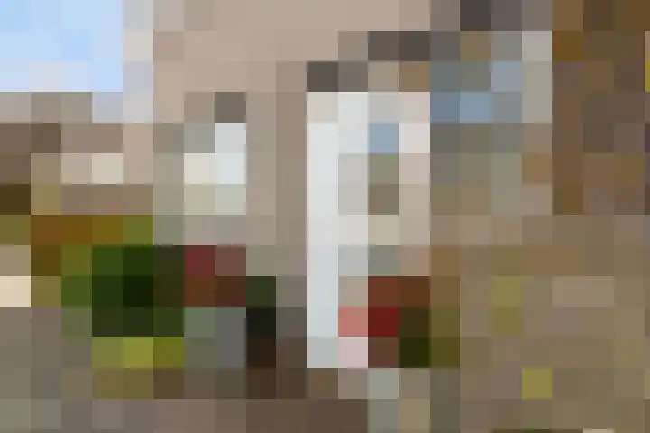 Heemskerklaan 7 Woerden thumbnail 4