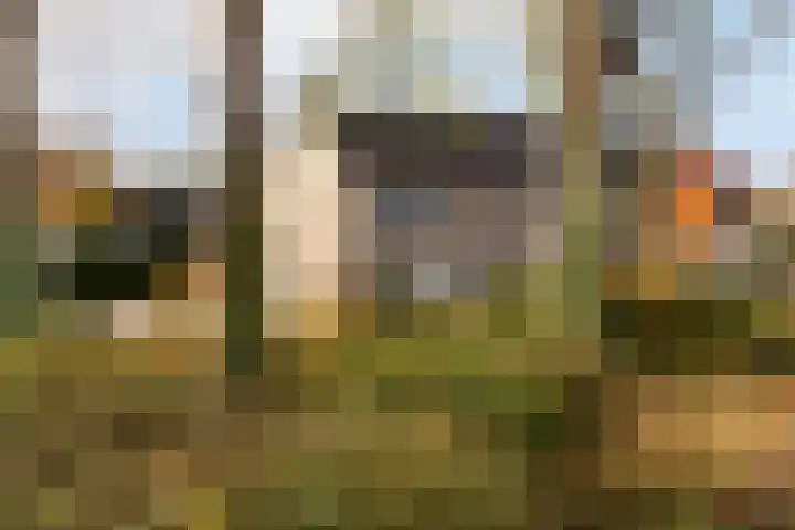 Heemskerklaan 7 Woerden thumbnail 40