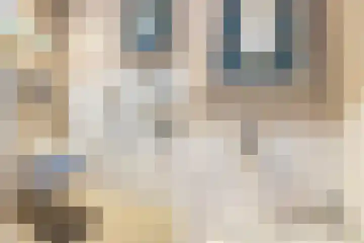 Heemskerklaan 7 Woerden thumbnail 6