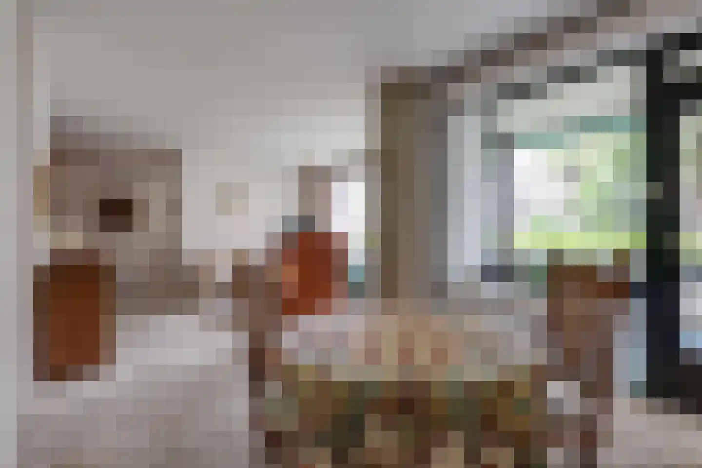 Heemskerklaan 8 Velp thumbnail 12