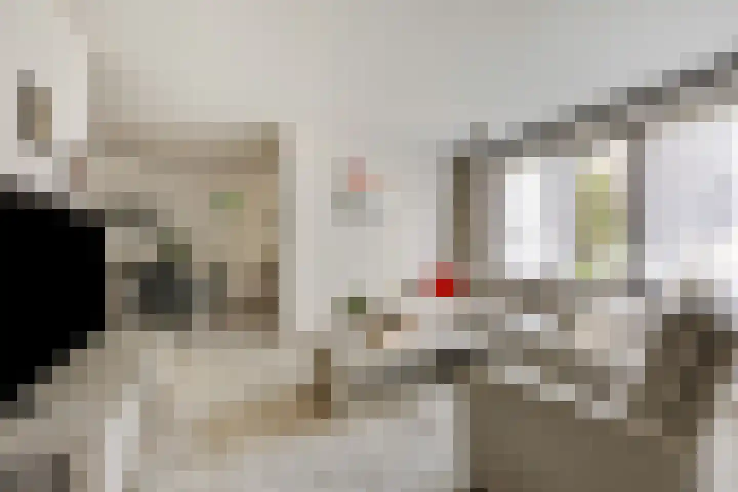 Heemskerklaan 8 Velp thumbnail 14