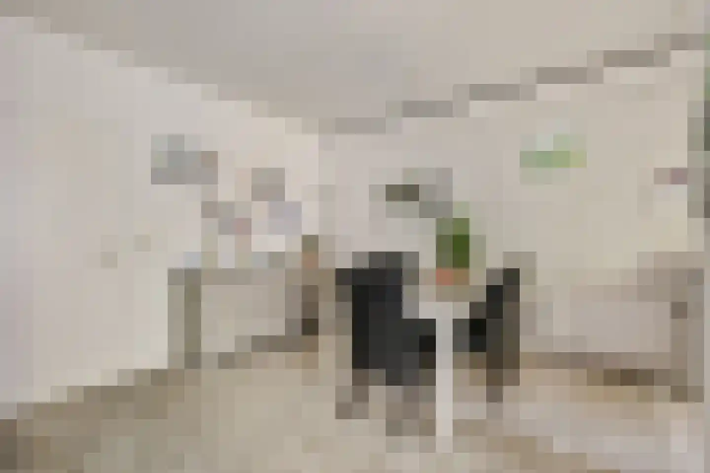 Heemskerklaan 8 Velp thumbnail 15