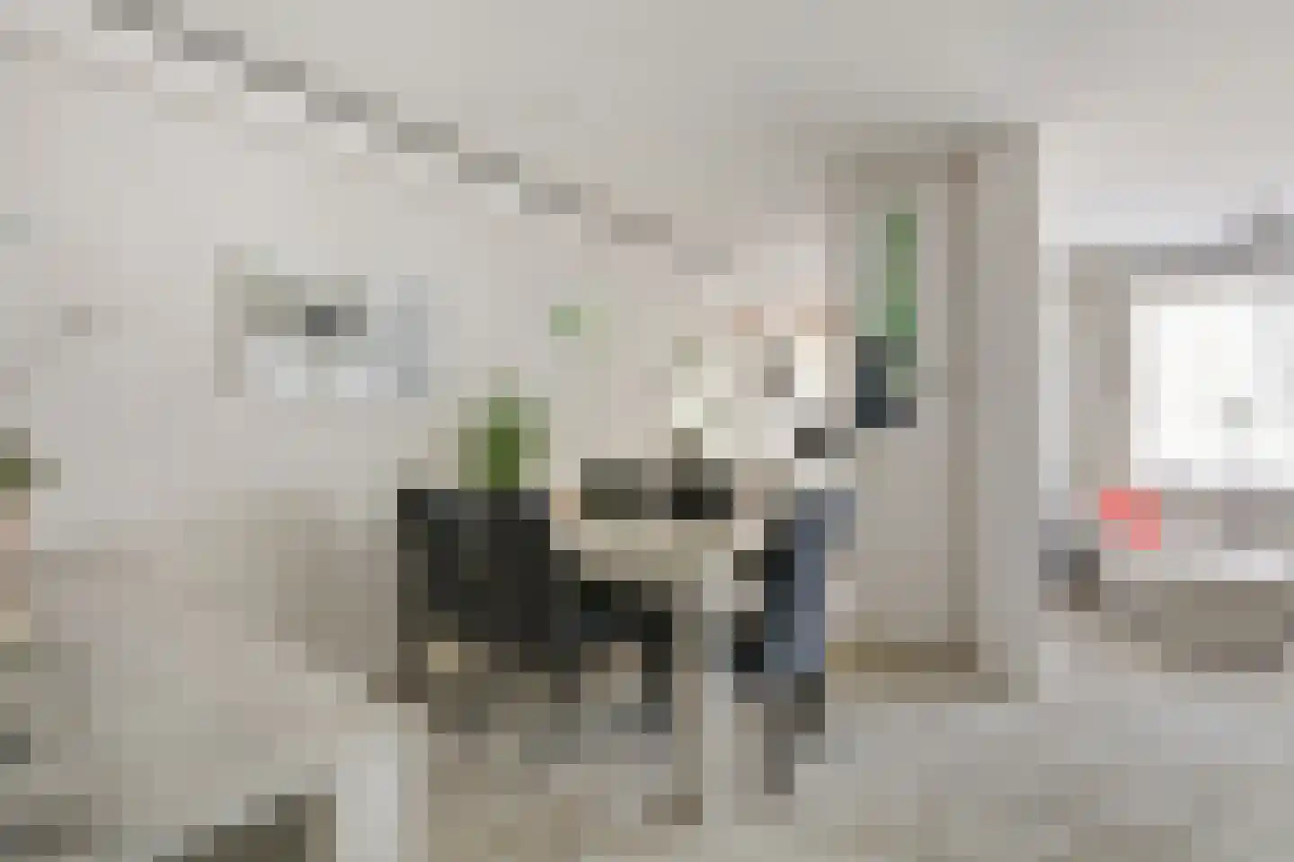 Heemskerklaan 8 Velp thumbnail 16