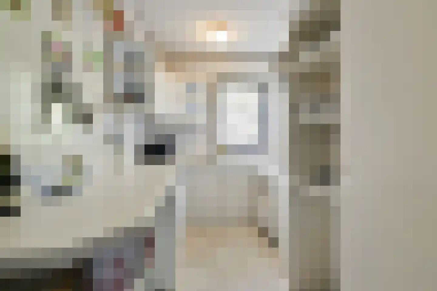 Heemskerklaan 8 Velp thumbnail 17