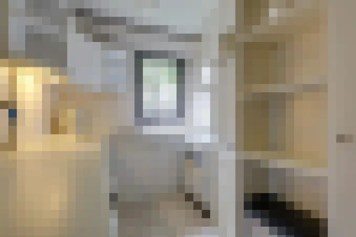 Heemskerklaan 8 Velp thumbnail 17