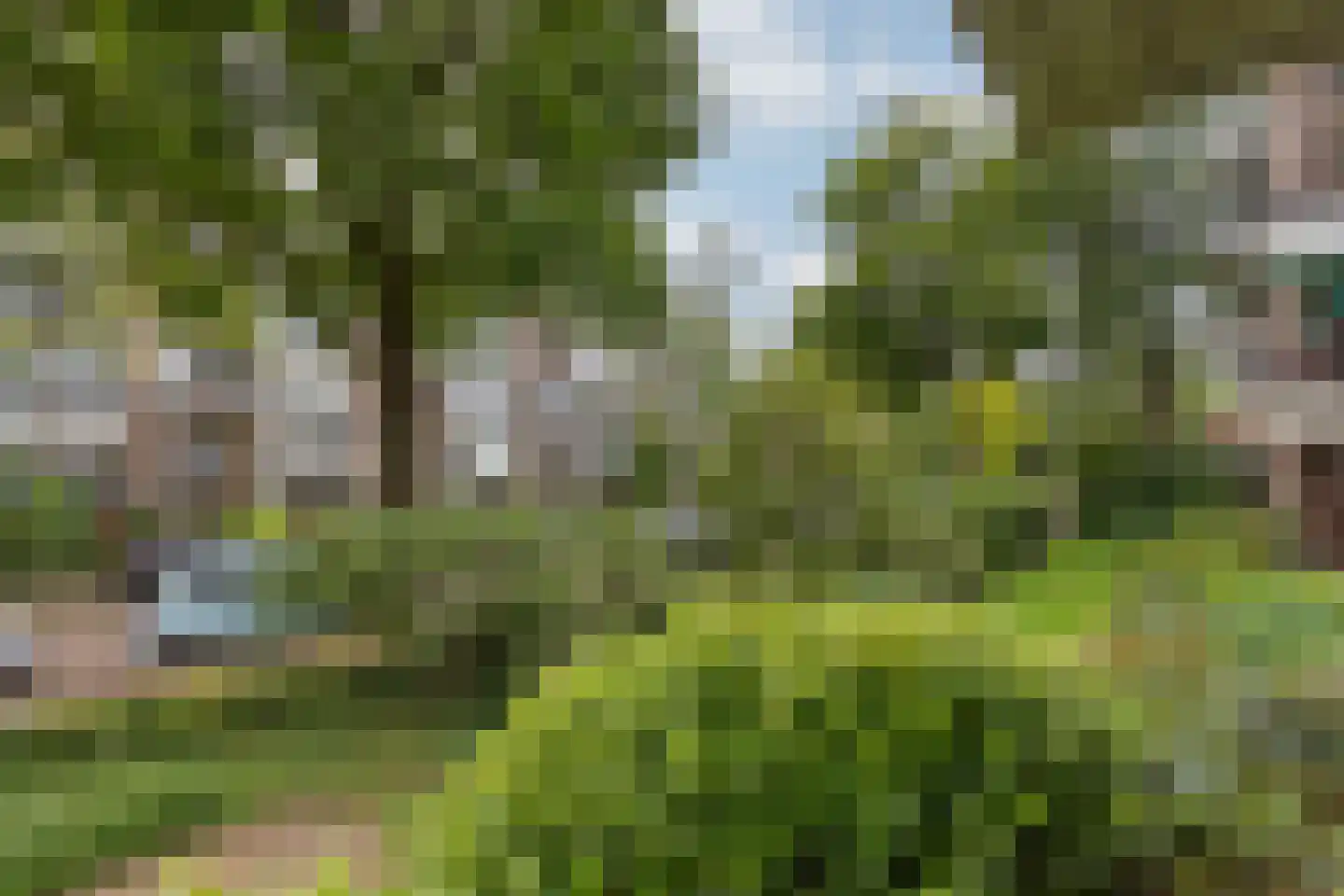 Heemskerklaan 8 Velp thumbnail 31