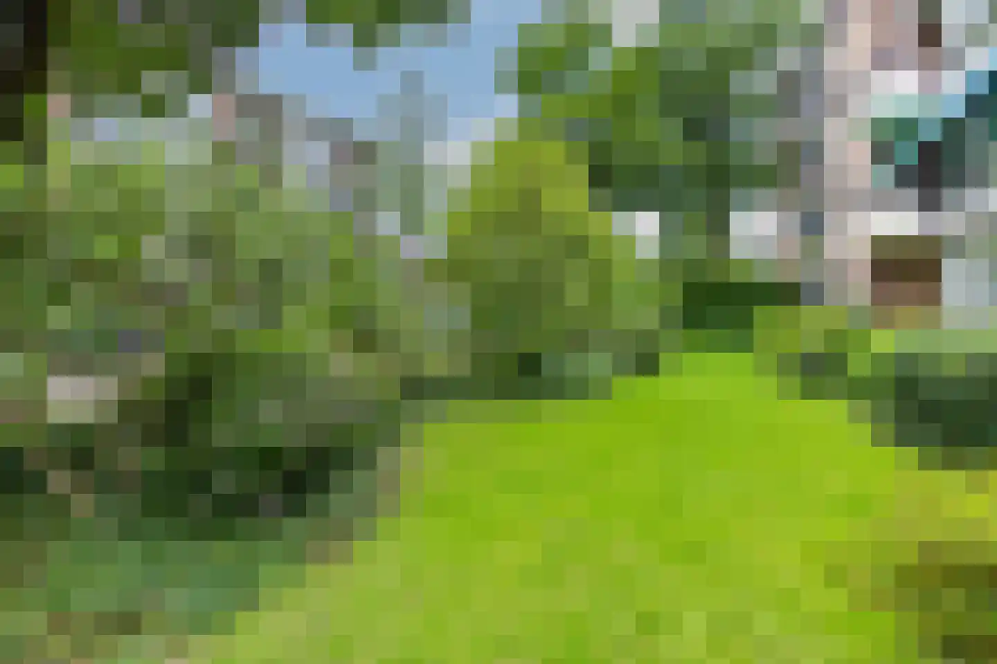 Heemskerklaan 8 Velp thumbnail 33