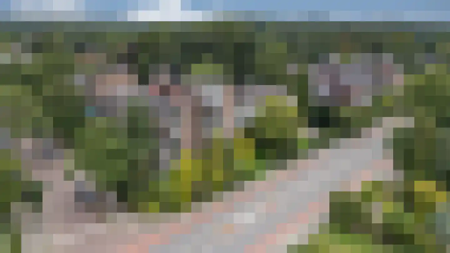 Heemskerklaan 8 Velp thumbnail 34