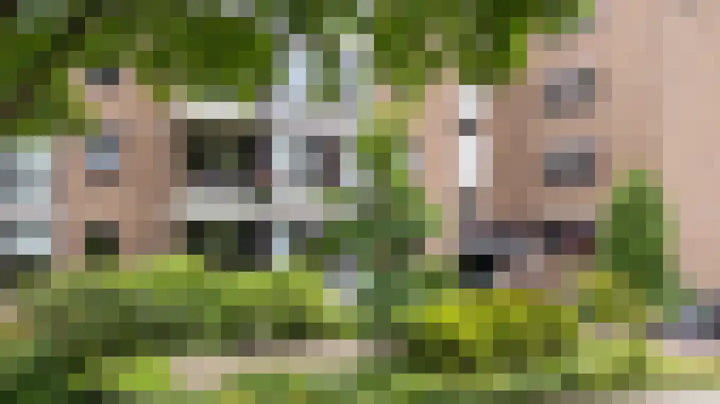 Heemskerklaan 8 Velp thumbnail 35