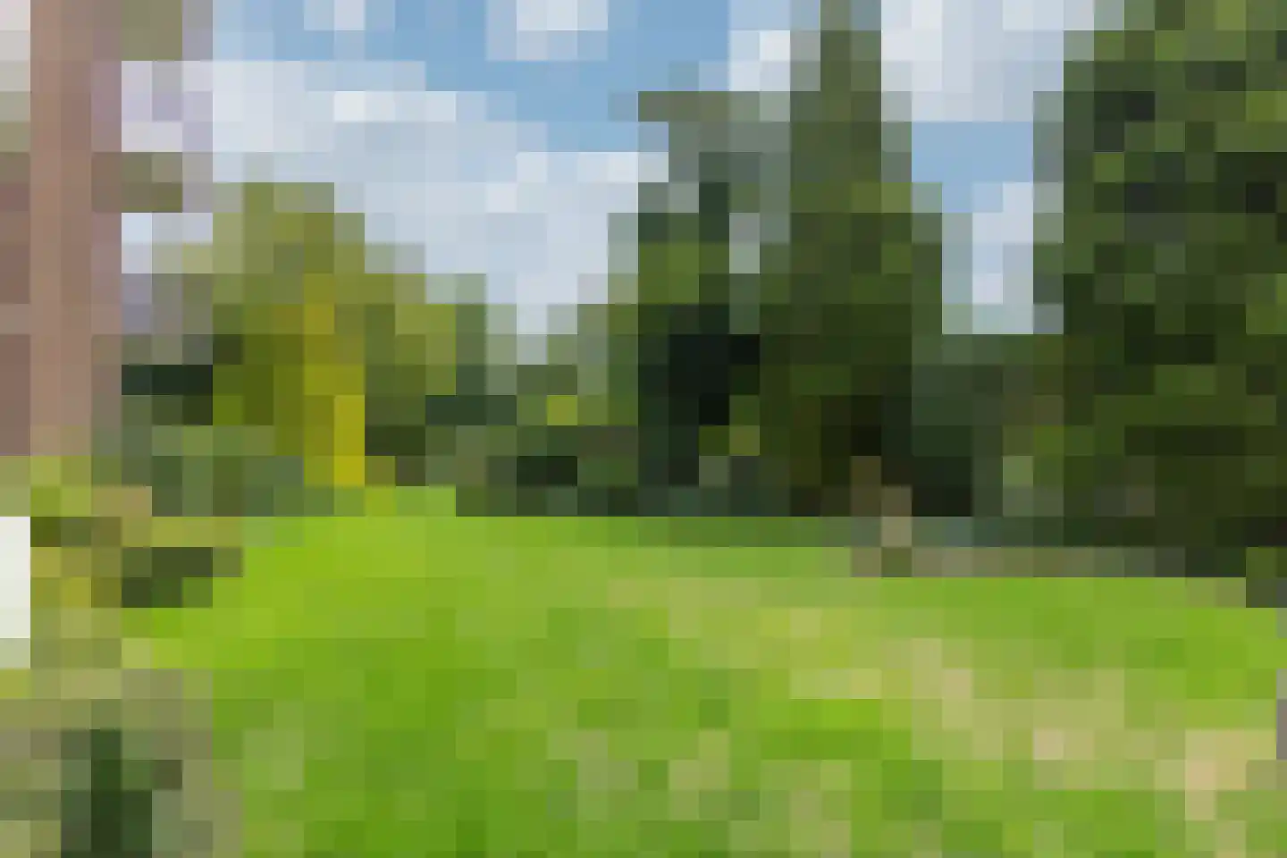 Heemskerklaan 8 Velp thumbnail 9