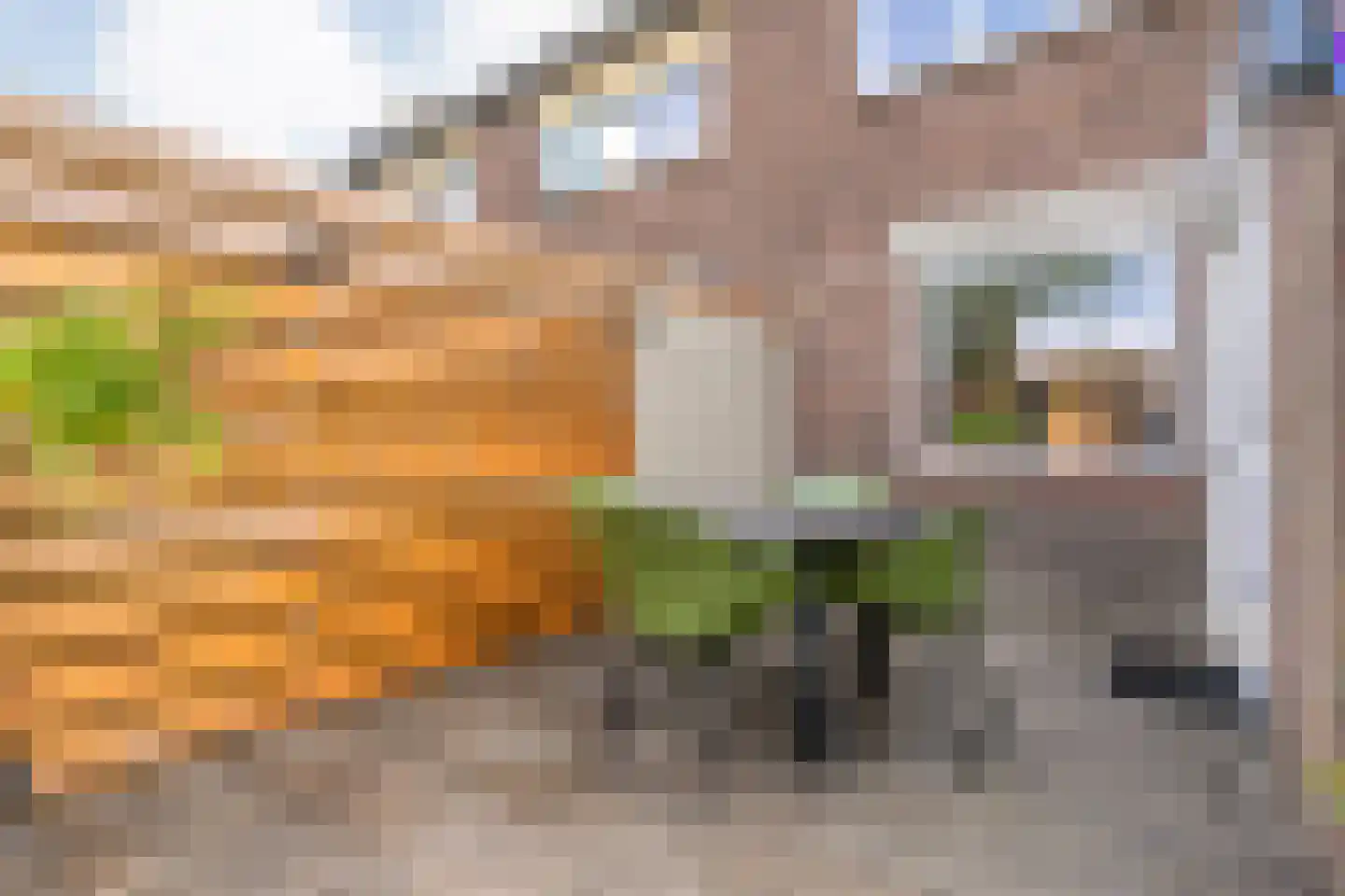 Heemskerkstraat 11 Meppel thumbnail 32