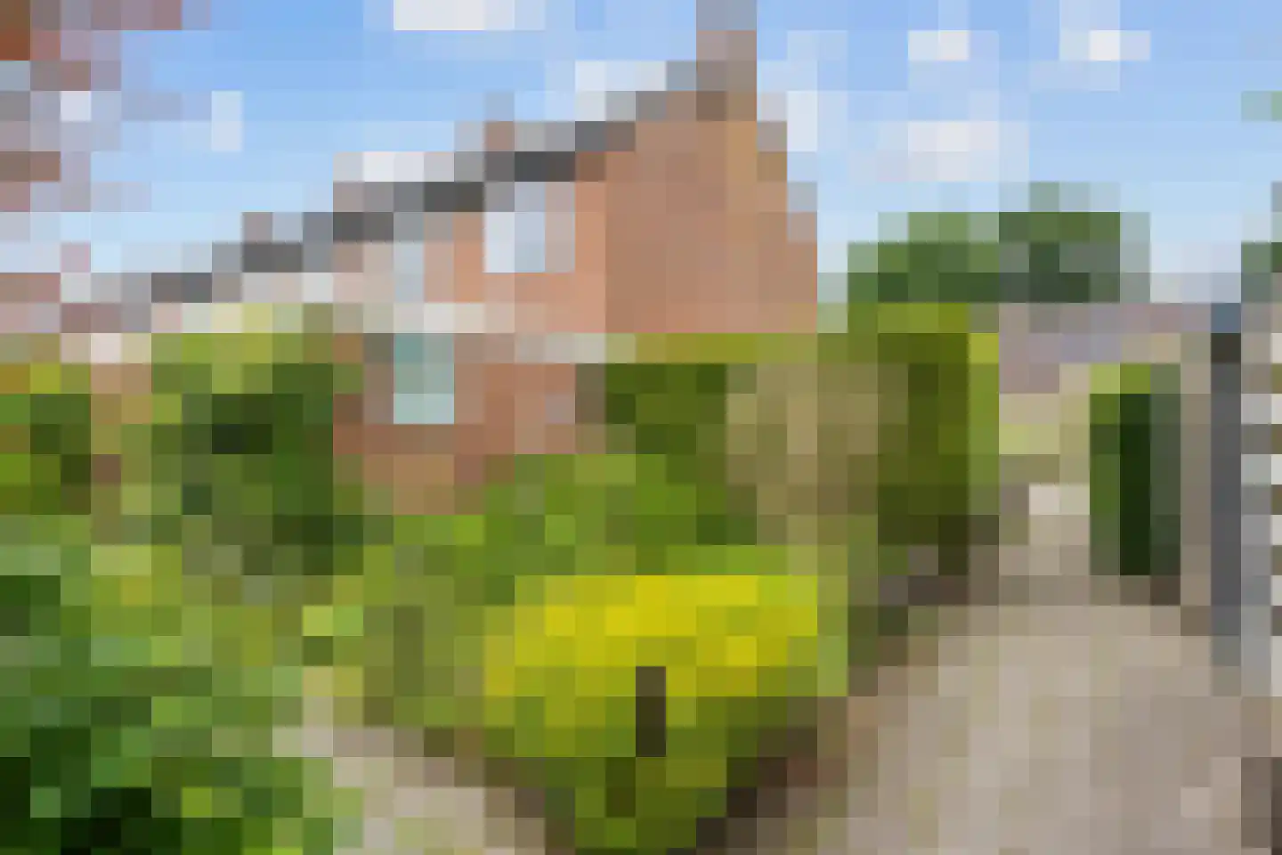 Heemskerkstraat 13 Zuidhorn thumbnail 38