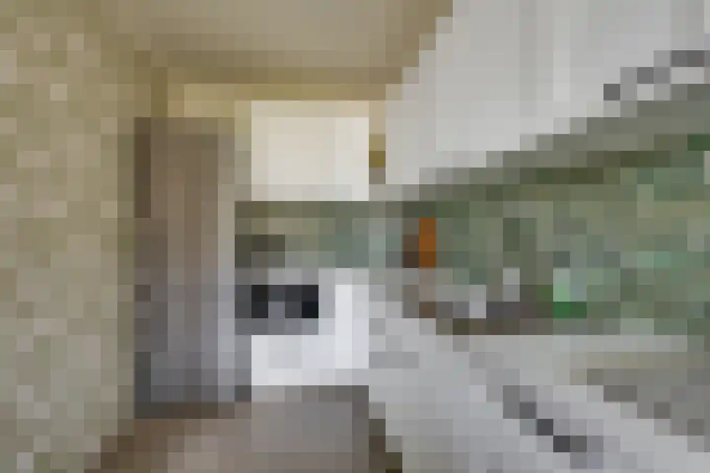 Heemskerkstraat 19 Rijen thumbnail 18
