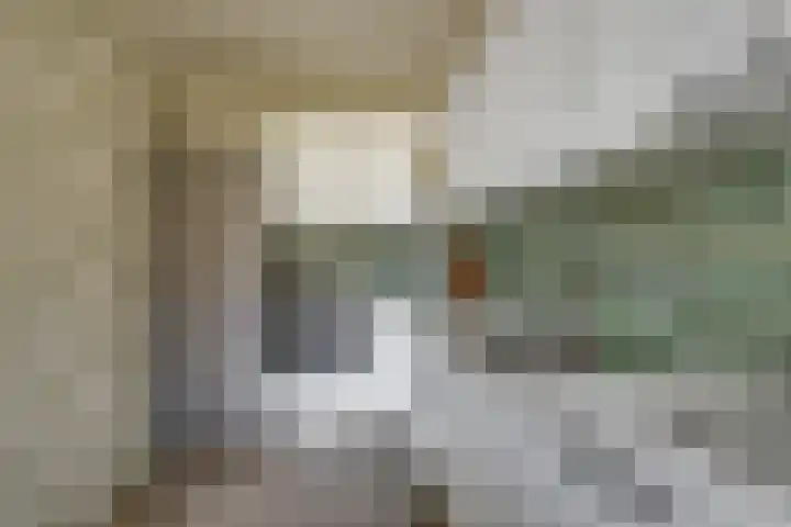 Heemskerkstraat 19 Rijen thumbnail 18