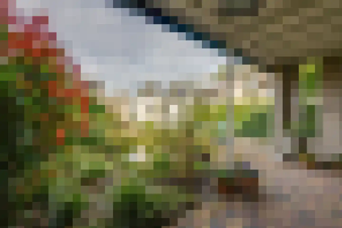 Heemskerkstraat 19 Rijen thumbnail 23