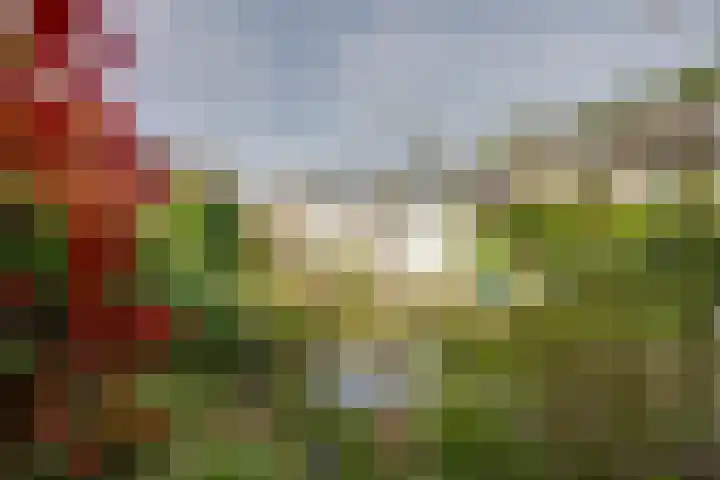 Heemskerkstraat 19 Rijen thumbnail 47