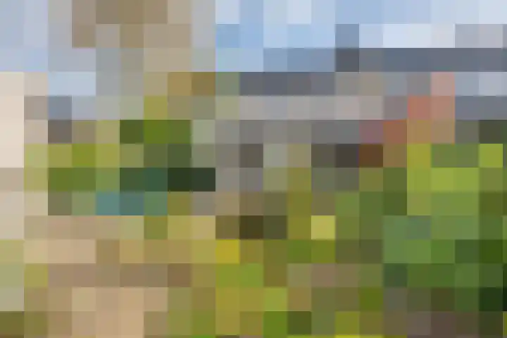 Heemskerkstraat 19 Rijen thumbnail 5