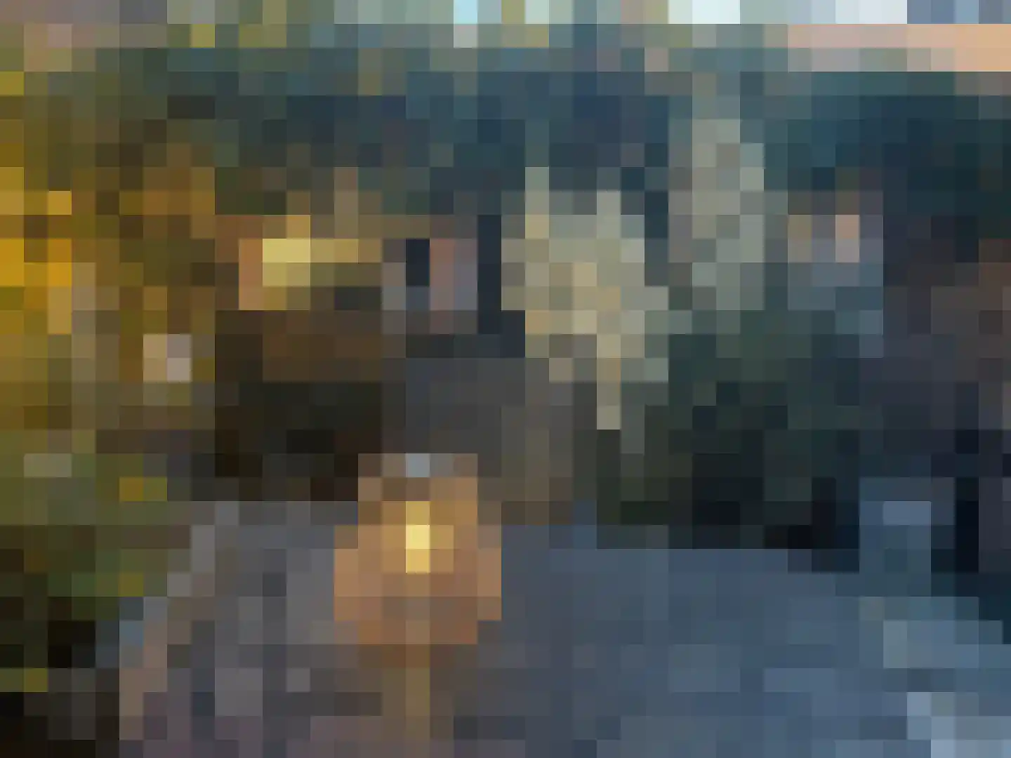 Heemskerkstraat 22 Gouda thumbnail 34