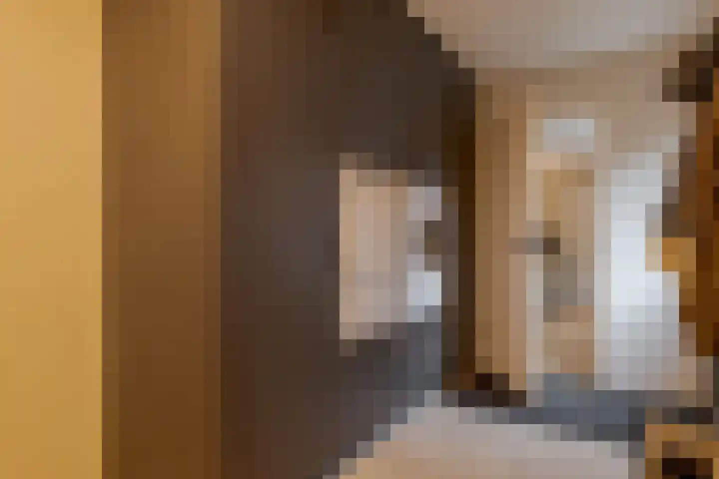 Heemskerkstraat 31 Meppel thumbnail 12
