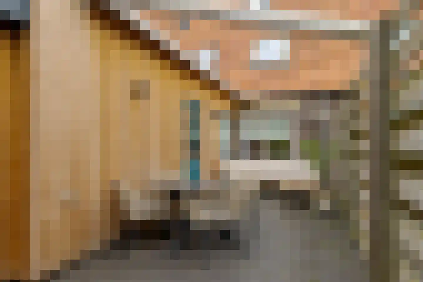 Heemskerkstraat 31 Meppel thumbnail 14