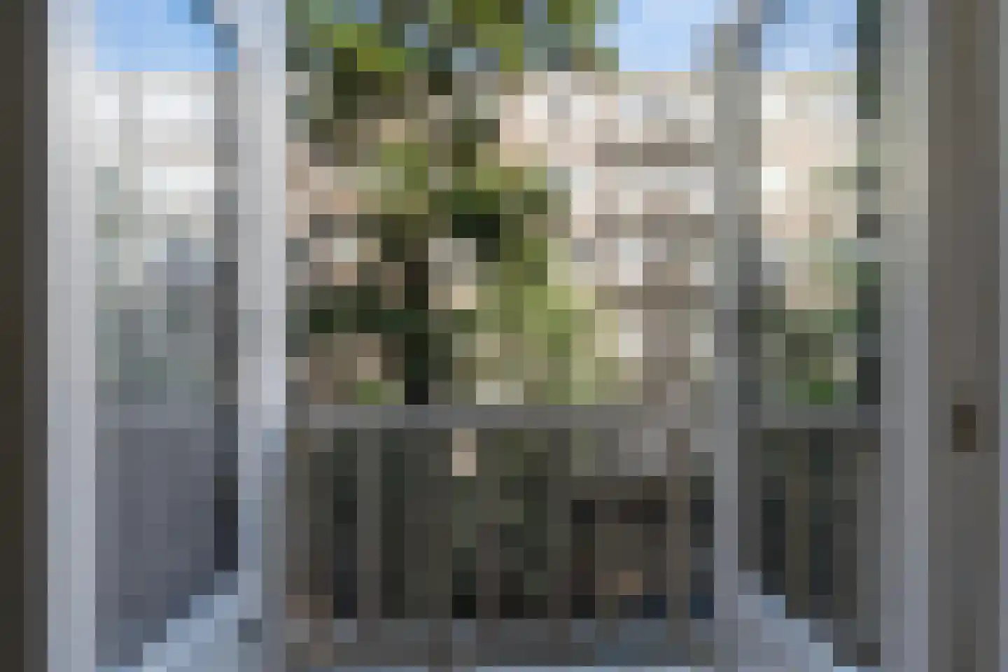 Heemskerkstraat 44 B 01 Rotterdam thumbnail 4